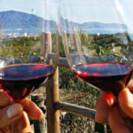 wijn en kookreis amalfikust