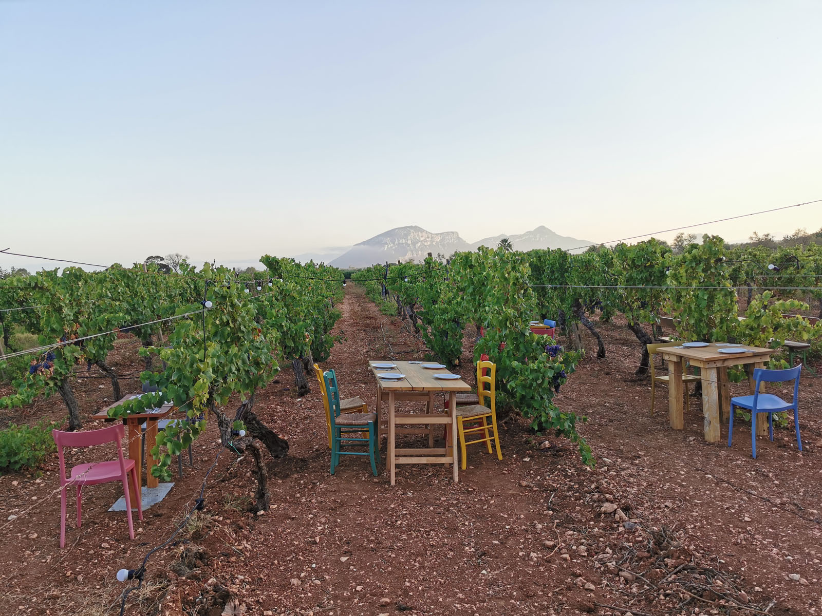 Between Nuraghi and Cannonau Wine3