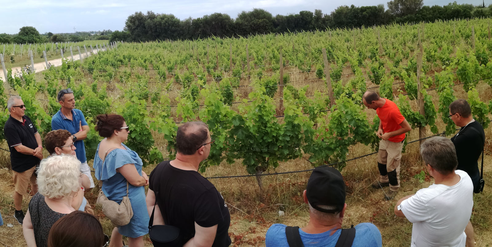 Between Nuraghi and Cannonau Wine5