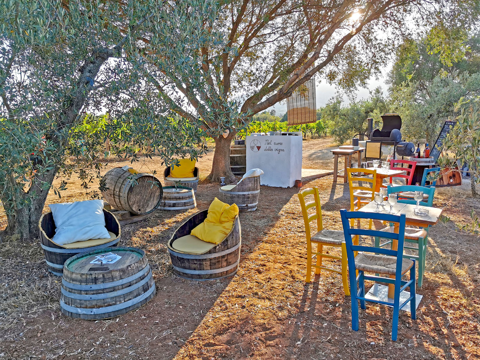 Between Nuraghi and Cannonau Wine8