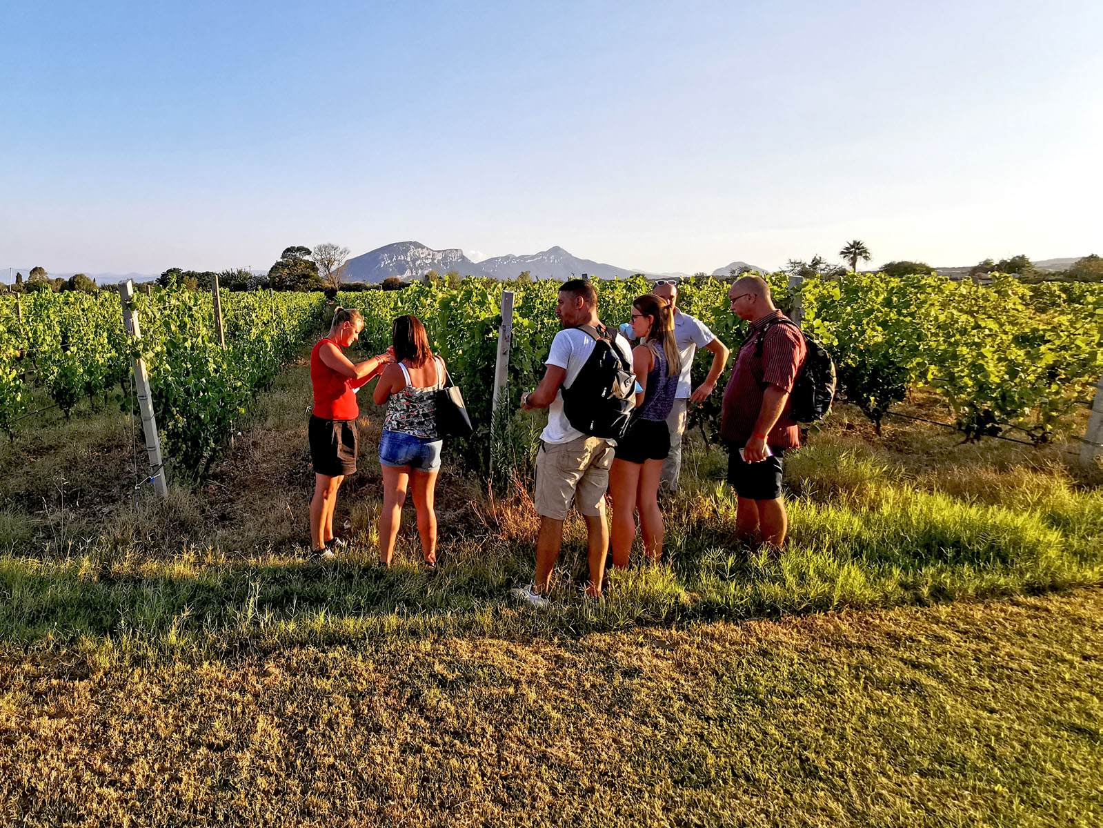 Between Nuraghi and Cannonau Wine9