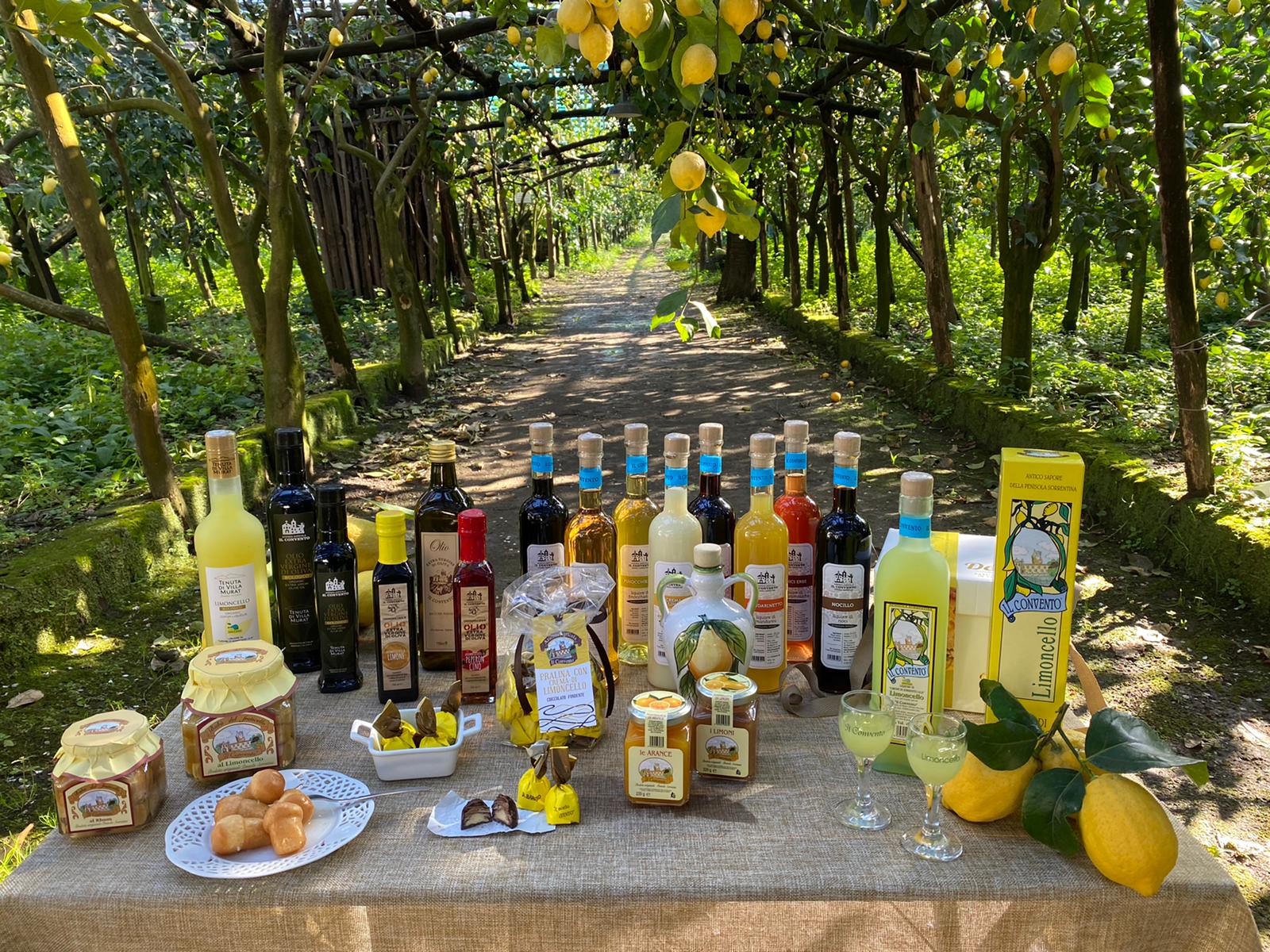 E-Bike Limocello Tasting6 E-Bike Limocello Tasting