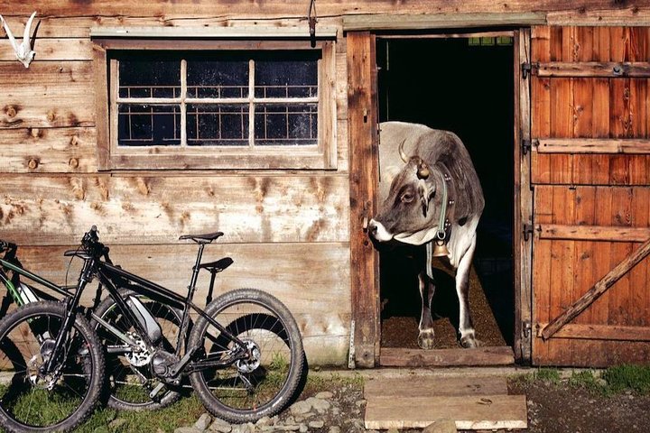 E-bike Food & Wine3 E-bike Food & Wine