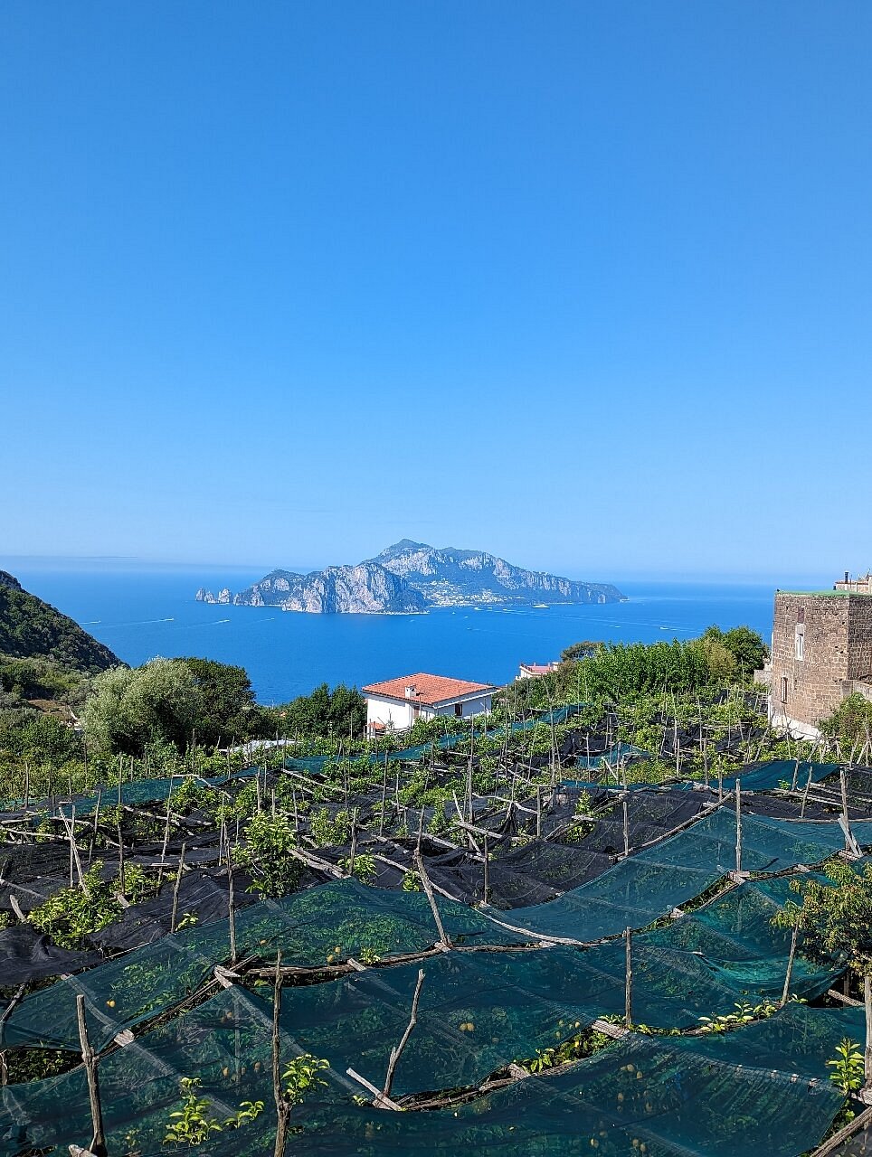 E-bike Food & Wine5 E-bike Food & Wine