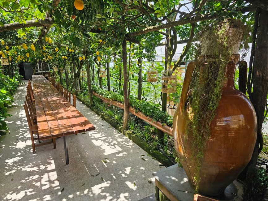 Sorrento-Coast-E-Bike-Cooking-Experience3 Sorrento-Coast-E-Bike-Cooking-Experience