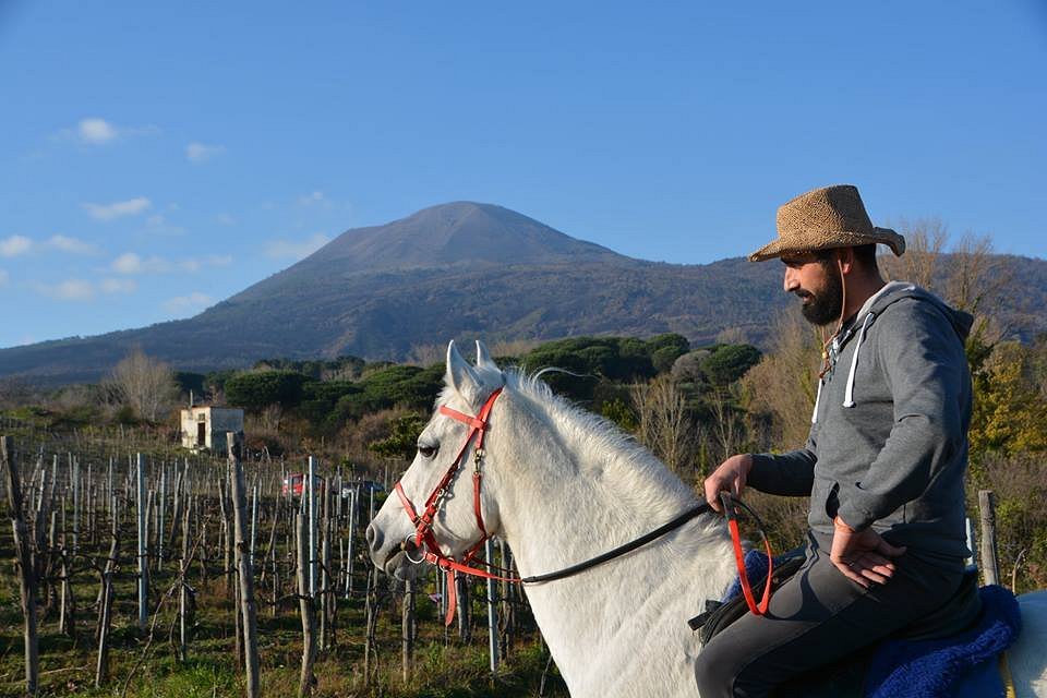 horses-back-riding 2