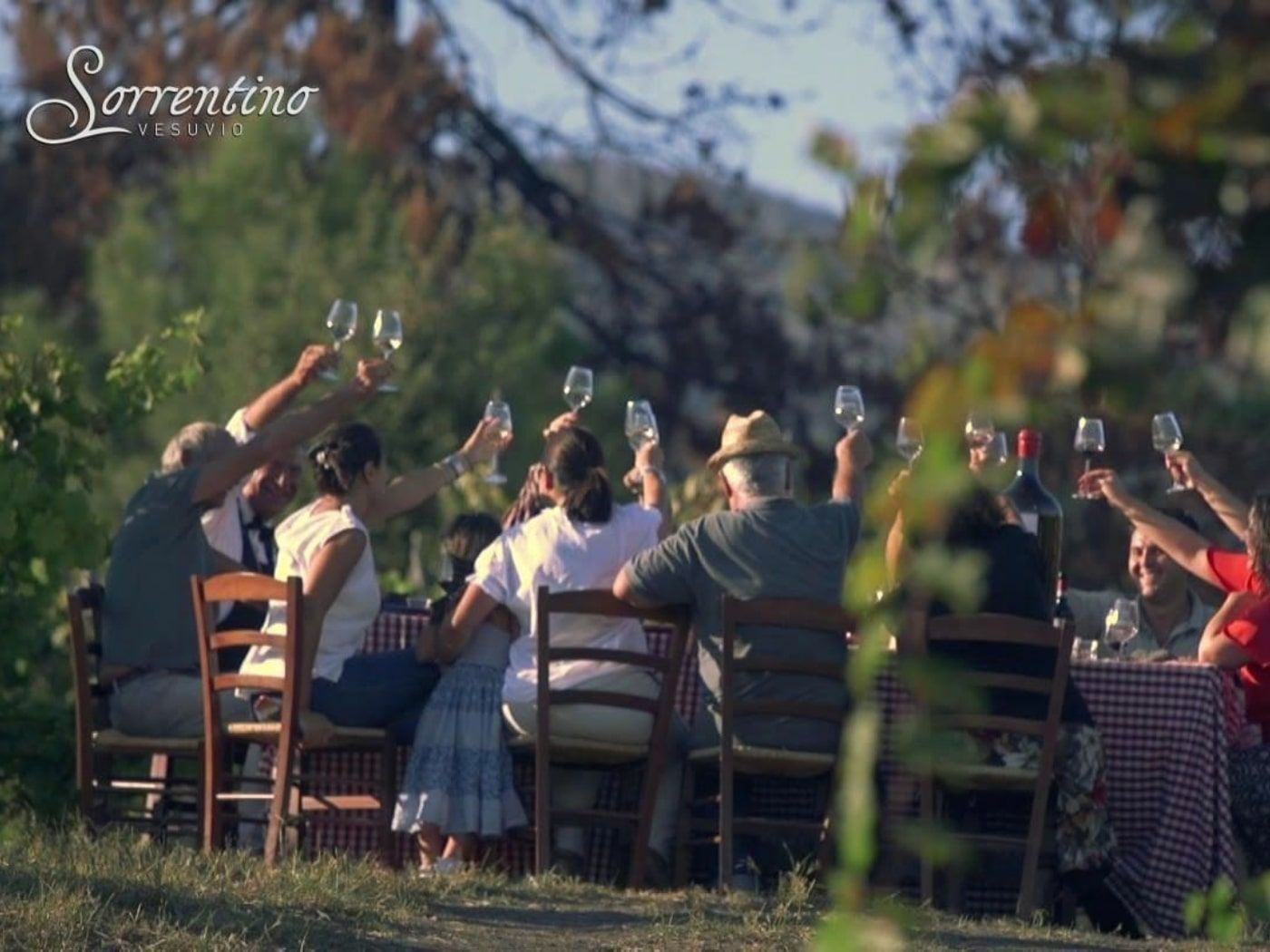 wijnporeverij aan de voet van de vulkaan vesuvius