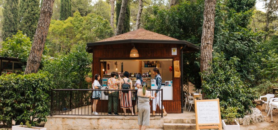 The Cheese Experience3